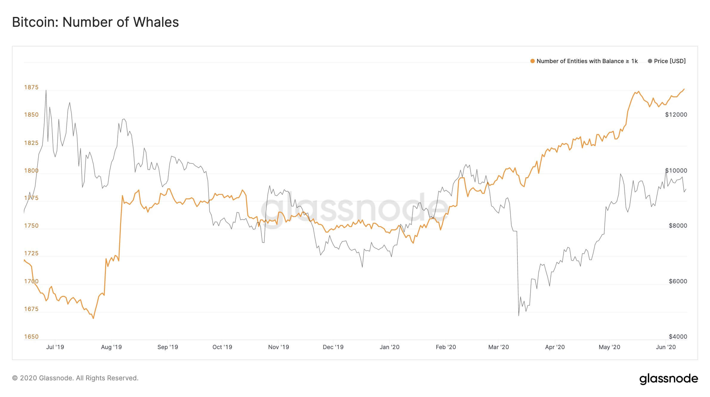 New Glassnode metric calculates profit/loss for “moved” Bitcoin, “Whales” seen stacking up on BTC