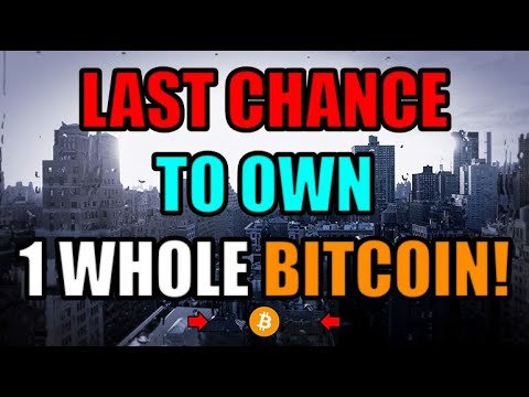 Only .27% Of The Global Population Can Own 1 Whole Bitcoin Each. 2020 Is Your Last Chance!