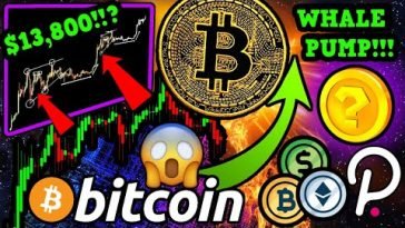 BITCOIN WHALES SETTING UP ,800 BTC PUMP!!? ALTCOINS I’M SUPER BULLISH ON!!