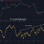 CEO: Dropping whale inflows positive for Bitcoin, lifeline for DeFi market?