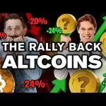 Panic!? No…I’m Buying the DIP w/ These ALTCOINs!