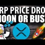 20% XRP Price Drop! – Moon or Bust? (Ripple Price Prediction)