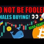 DO NOT BE FOOLED: This Pullback Is A BEAR TRAP! Whales Are Buying Bitcoin LIKE CRAZY! Crypto News