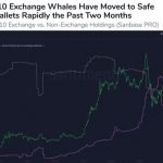 Top Ethereum whales are HODLing at an “impressive rate,” data finds