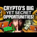 The BIGGEST Yet UNKNOWN Opportunity in Crypto (Max Gains!) The BIGGEST Yet UNKNOWN Opportunity in Crypto (Max Gains!)