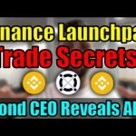 Elrond CEO REVEALS Binance Launchpad Trade Secrets! Can Binance Make Or Breaks An Altcoin Project?