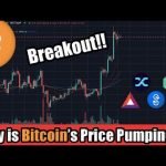 Bitcoin Price BREAKOUT Soaring Above ,300! Plus, Top 5 Cryptocurrencies Making Moves RIGHT NOW 📈
