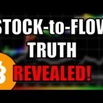 Bitcoin’s Stock-To-Flow Is NOT REAL! False Narrative! Cory Klippsten REVEALS TRUTH | Bitcoin News