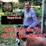 Ripple And XRP Are And Have Always Been About  “All The Money”