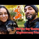 Happy Thanksgiving: Cryptocurrencies Are On SALE! | Regulation Rumors May Harmfully Impact Crypto