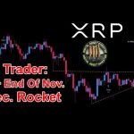 XRP The Beast And Ripple CEO On Security Issue