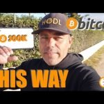 WOOW!!!!! BITCOIN IN A 0.000 ADOPTION CURVE!!! This is the difference between sats & bits? WOOW!!!!! BITCOIN IN A 0.000 ADOPTION CURVE!!! This is the difference between sats & bits?