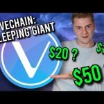 VECHAIN (VET) WILL MELT FACES IN 2021!! đ˛ *Here’s Why* VECHAIN (VET) WILL MELT FACES IN 2021!! đ˛ *Here’s Why*