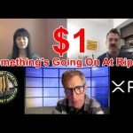 “Shock Rises” In XRP Price And Ripple ‘s XRP Bombshell