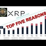 XRP Corrected , Initial Litigation Offerings & Ripple ODL Partner Raises  Million