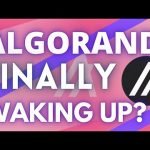 ALGORAND (ALGO) NOW FLASHING THESE BULLISH INDICATIONS!!! Cryptocurrency Analysis 2020