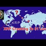 Ripple / BlackRock / Derivatives / XRP / Cambrian Explosions & Bitcoin Is “All Bull”