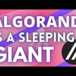 WHY ALGORAND (ALGO) IS A SLEEPING GIANT!!! Blockchain & Cryptocurrency Analysis 2020