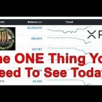XRP Designation , Ripple SEC Settlement? & Cryptographer-1 XRP Designation , Ripple SEC Settlement? & Cryptographer-1