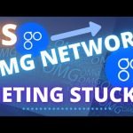IS OMG NETWORK (OMG OMISEGO) GOING TO GET STUCK!? Cryptocurrency Analysis 2020