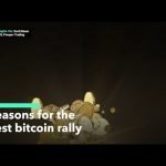 How High Can Bitcoin Go?