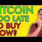 TOO LATE TO BUY BITCOIN? IS $200,000 BTC COMING IN 2021? [Crypto Holders Must See]