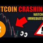 DIP!!! WARNING TO ALL NEW BITCOIN HOLDERS! All NEW Cryptocurrency Investors NEED To Watch This.