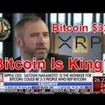 Bitcoin Price Record/Predictions , XRP Decouples & Ripple SEC Action Bitcoin Price Record/Predictions , XRP Decouples & Ripple SEC Action