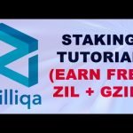 Zilliqa ZIL Staking Tutorial 2021 – Using Ledger and Zilpay