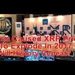 XRP Price Up As Halting Begins & Is This How SEC VS. Ripple Ends? XRP Price Up As Halting Begins & Is This How SEC VS. Ripple Ends?