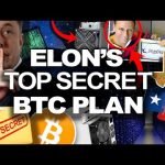 Elon Musk Has A “SECRET” Plan for BITCOIN in Texas!?