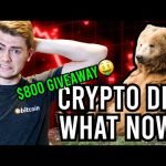 Crypto Market Turns Red: WHAT NOW?! + 0 Giveaway!!