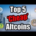 Top 5 Cheap Altcoins To Watch in 2021 | Best Cryptocurrency Investment February | BitBoy Interview