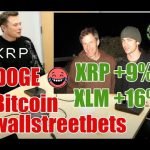 Ripple , XRP , Interstellar , Elon Musk , PayPal Galactic , Twitter , Square & OpenAI