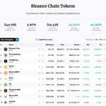 Binance Coin (BNB) erupts above 0 as the whole Smart Chain ecosystem soars