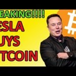BREAKING! ELON MUSK’S TESLA BUYS ,500,000,000 WORTH OF BITCOIN!!! Insanely Bullish Crypto News BREAKING! ELON MUSK’S TESLA BUYS ,500,000,000 WORTH OF BITCOIN!!! Insanely Bullish Crypto News