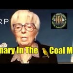 XRP Price +9% , Central Bank Black Swan Bitcoin Event & Ripple / Jim Rickards