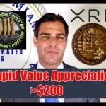 XRP +12% Heading For $.60 , Ripple Equity , IMF SDRs & Bitcoin ETFs Coming