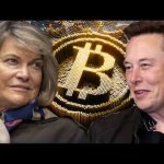 Bitcoin-owning Senator tweets to Tesla CEO Elon Musk