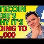 4 REASONS LITECOIN TO HIT $1,000 IN 2021, BULLISH CRYPTO NEWS [Price Prediction]