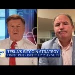Wedbush’s Dan Ives on his estimate that Tesla has made roughly  billion in profits from bitcoin