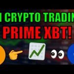 PrimeXBT – #1 Bitcoin, Forex, 50+ Asset Trading Platform! Best Copy Trading Feature w/ Covesting! PrimeXBT – #1 Bitcoin, Forex, 50+ Asset Trading Platform! Best Copy Trading Feature w/ Covesting!