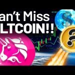 Uniswap for NFTs Will MOON SOON! Don’t Miss This COIN!!