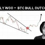 Willy Woo – Analysis Potential Bitcoin Scenarios for 2024 bull Run!!