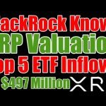 Ripple / XRP Valuation , BlackRock , Bitcoin ETF & I Smell A Rat!