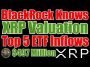 Ripple / XRP Valuation , BlackRock , Bitcoin ETF & I Smell A Rat!