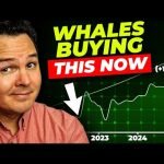 Billionaires Are Secretly Buying These Crypto Altcoins