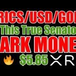 XRP .88-.85? , Ripple , BRICS , Gold & Secret/Anonymous Dark Money