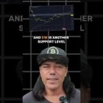 Set Your Buy Orders Here!