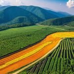 Georgia’s Crypto Mining Expansion Faces Backlash Over Environmental Concerns